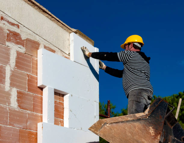 Best Cellulose Insulation in Ankeny, IA