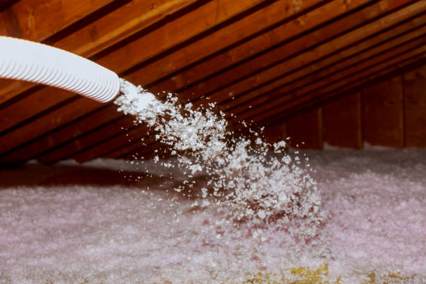 Best Eco-Friendly Insulation in Ankeny, IA