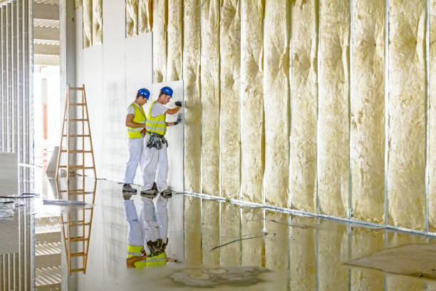 Best Spray Foam Insulation in Ankeny, IA